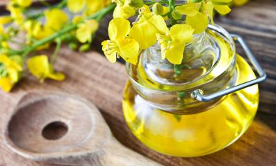 Le proprietà dell'olio di canola