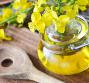 Le proprietà dell'olio di canola
