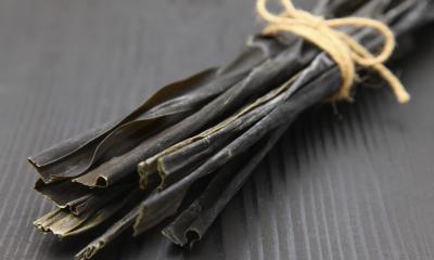 In linea con l'alga Kelp