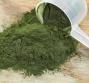 Alga spirulina per dimagrire