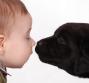Bambini e cani: il rischio della leishmaniosi