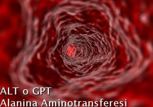 ALT - Alanina Aminotransferesi o GPT