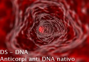 DS – DNA – Anticorpi anti DNA nativo