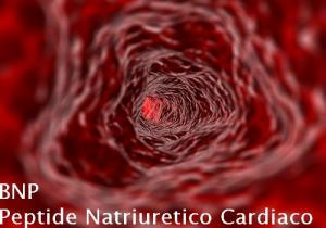 BNP - Peptide Natriuretico Cardiaco