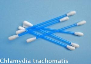 Chlamydia Trachomatis