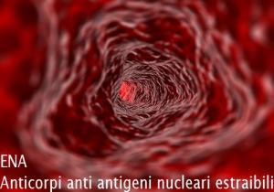 ENA – Anticorpi anti antigeni nucleari estraibili