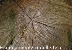 Esame completo delle feci