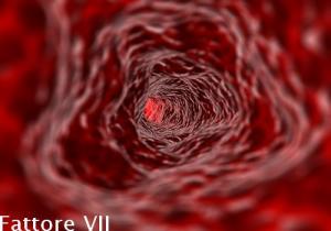 Fattore VII - Proconvertina