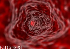 Fattore XI – Globulina antiemofilica C
