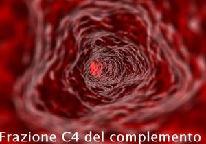 Frazione C4 del complemento