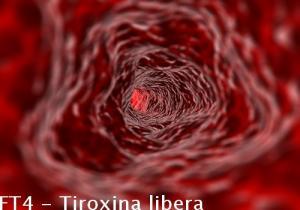 FT4 – Tiroxina libera