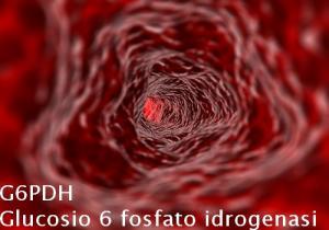 G6PDH – Glucosio 6 fosfato idrogenasi