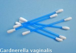 Gardnerella Vaginalis