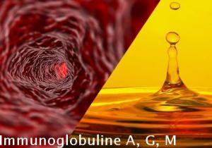 Immunoglobuline A, G, M