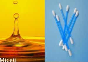 Miceti - Ricerca in campioni biologici