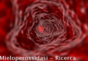 Mieloperossidasi - Ricerca