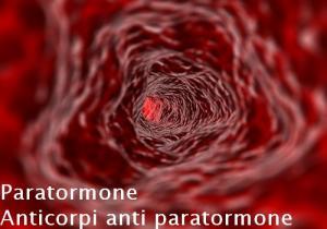 Paratormone – Anticorpi anti paratormone