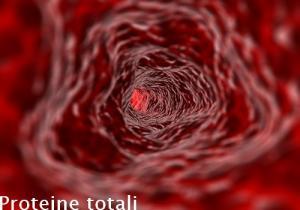 Proteine totali