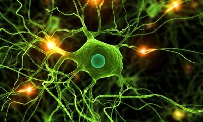 Epilessia
