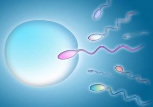 Fertilizzazione in vitro