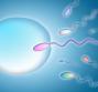 Fertilizzazione in vitro