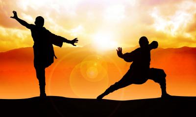 Shaolin kung fu
