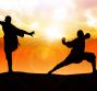 Shaolin kung fu